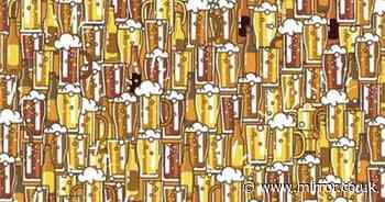 Mind-boggling puzzle challenges you to spot trophy among sea of pints in 30 seconds