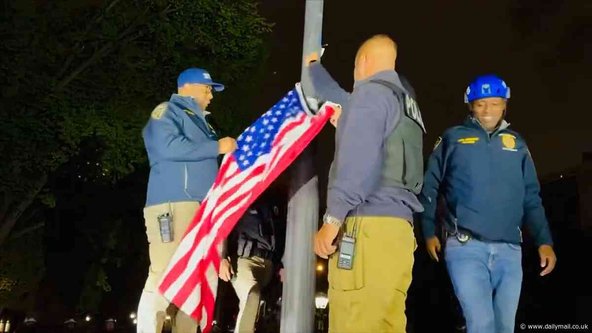 NYPD ripped down Palestinian flag at City College and hoisted Old Glory - as cops arrest pro-Palestinian protesters who smashed their way into Columbia University building