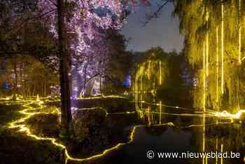 Feeëriek lichtspektakel in Rivierenhof komt terug: zesde editie De Grote Schijn start dit najaar
