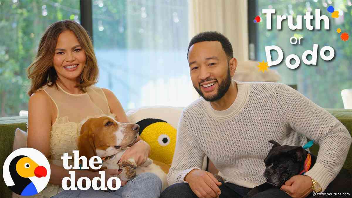 Chrissy Teigen + John Legend Play a Game of Truth or Dodo | The Dodo