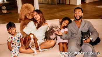 Chrissy Teigen and John Legend launch new dog food brand Kismet as they promote new venture with sweet family snaps featuring their pooches