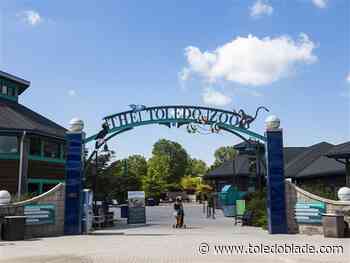 Toledo Zoo hosting birding trips