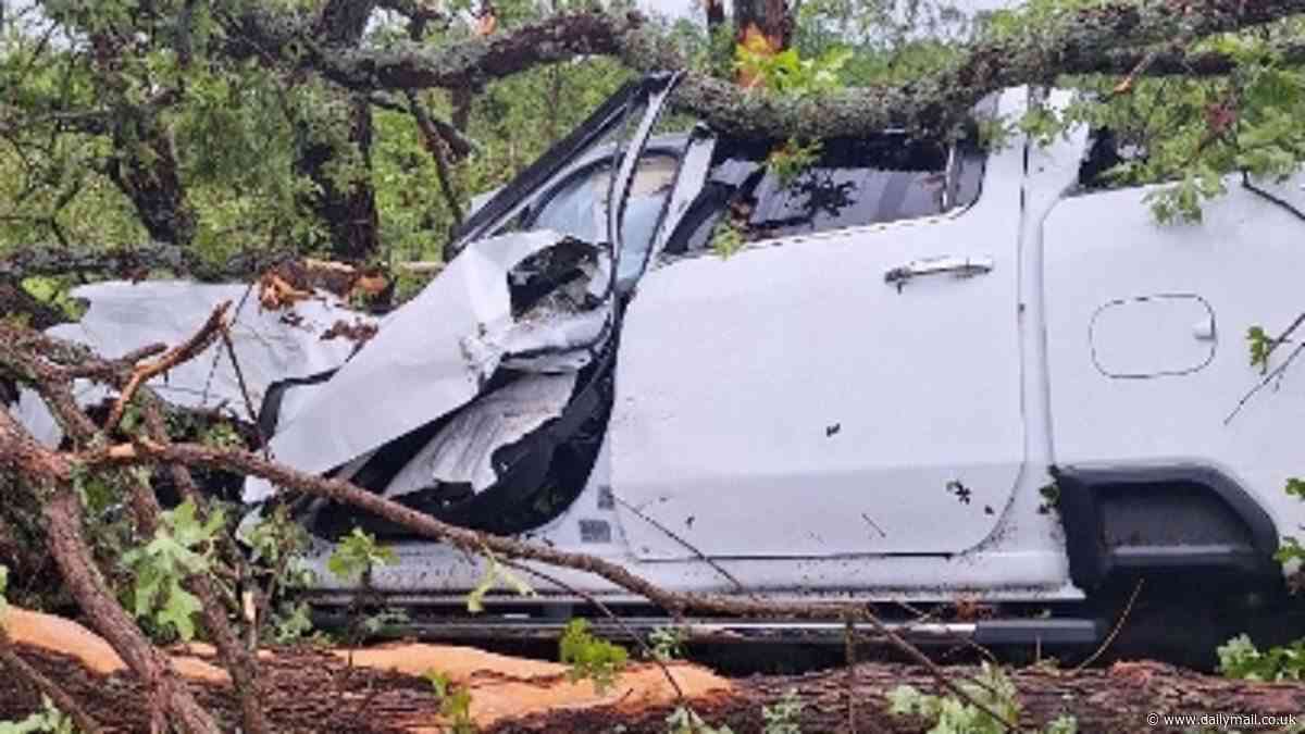 How a heroic nine-year-old saved his parents from trapped car after tree crashed down on them during Oklahoma tornado