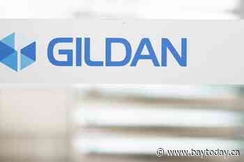 Gildan Q1 earnings down almost 20% as feud over who should lead the company continues