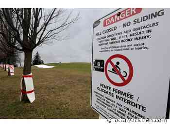 City to spend $150,000 to determine how to make Mooney's Bay Park Hill safe for tobogganing
