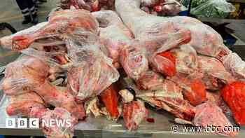 Tonnes of seized illegal meat pose health risk - port