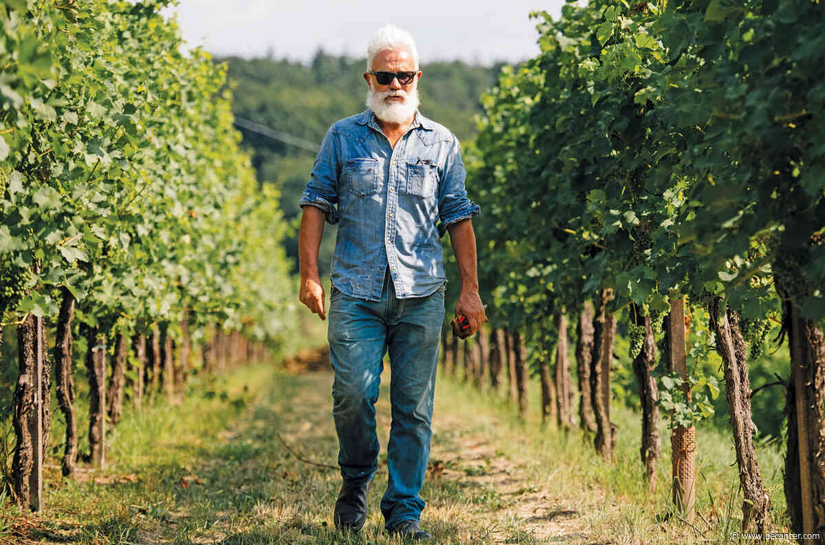 Wine to 5: Marco Simonit, vine pruning consultant