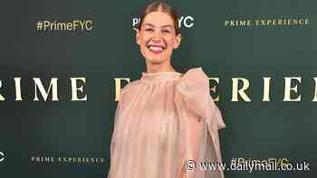Rosamund Pike jazzes up her semi-sheer pink gown with a pair of brown fluffy heels as she attends The Wheel Of Time Prime Experience in LA