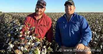 Eleven regional winners turn cotton tools to their establishment advantage