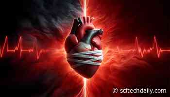 Anger and Arteries: Surprising Link Uncovered by the American Heart Association
