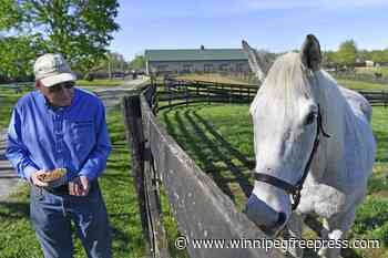 For ex-Derby winner Silver Charm, it’s a life of leisure and Old Friends at Kentucky retirement farm