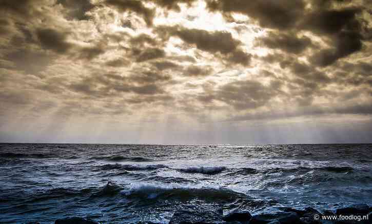 Wetenschap kan warmer wordend zeewater niet verklaren