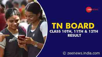TN Board Result 2024: Tamil Nadu Class 10th 11th & 12th Result Dates Announced - Here`s When And How To Check Your Scorecards