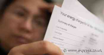 British Gas, EON, EDF and Octopus customers to get £219 boost from summer