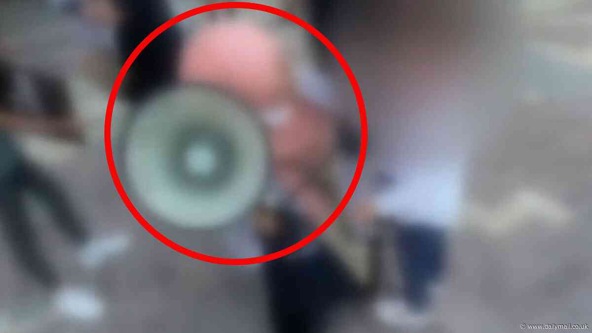 Why this image of a little girl with a megaphone Melbourne has sparked outrage: 'How can this be allowed to happen?'