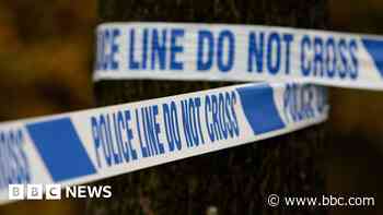 Suspected explosive removed from Dartmoor woodland