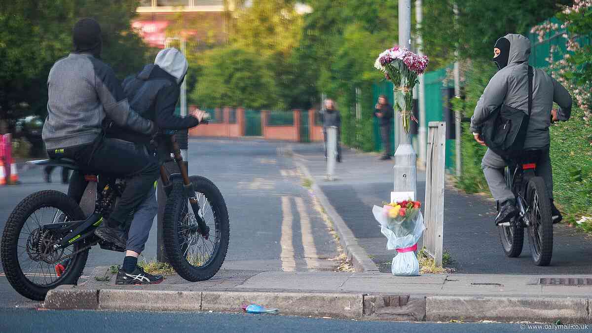 Illegal e-bikes that can hit 40mph are death traps bringing chaos to Britain's streets and are even being used on motorways, industry warns