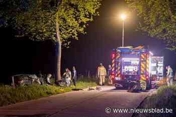 Auto crasht tegen boom: één persoon in levensgevaar, twee lichtgewonden