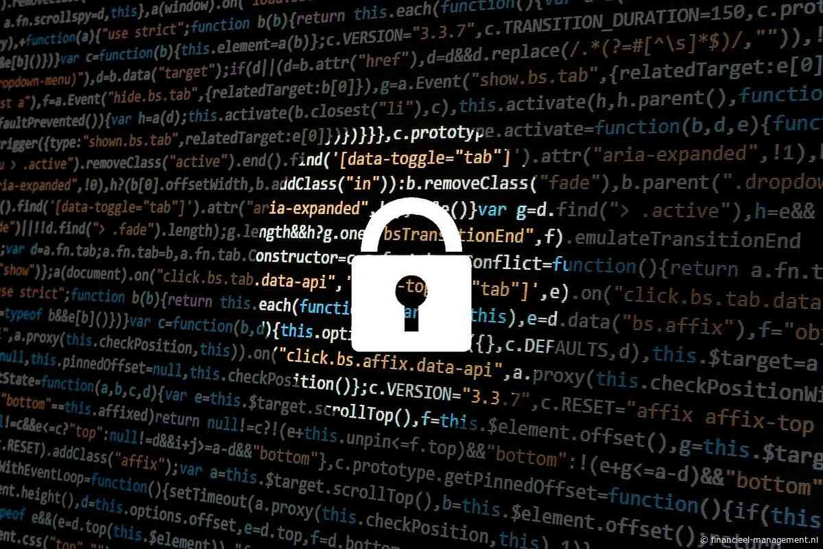 Expert: “Betalen losgeld niet de uitkomst bij cyberaanval”