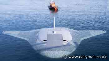 US Navy tests 'extra-large' Thunderbirds-style Manta Ray drone sub capable of long-distance unmanned undersea missions