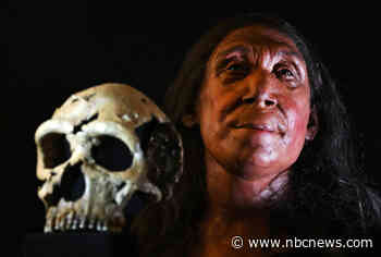 Face of a 75,000-year-old Neanderthal woman revealed by scientists