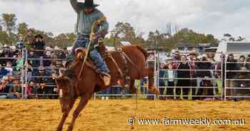 Wheatbelt gears up for annual rodeo fun