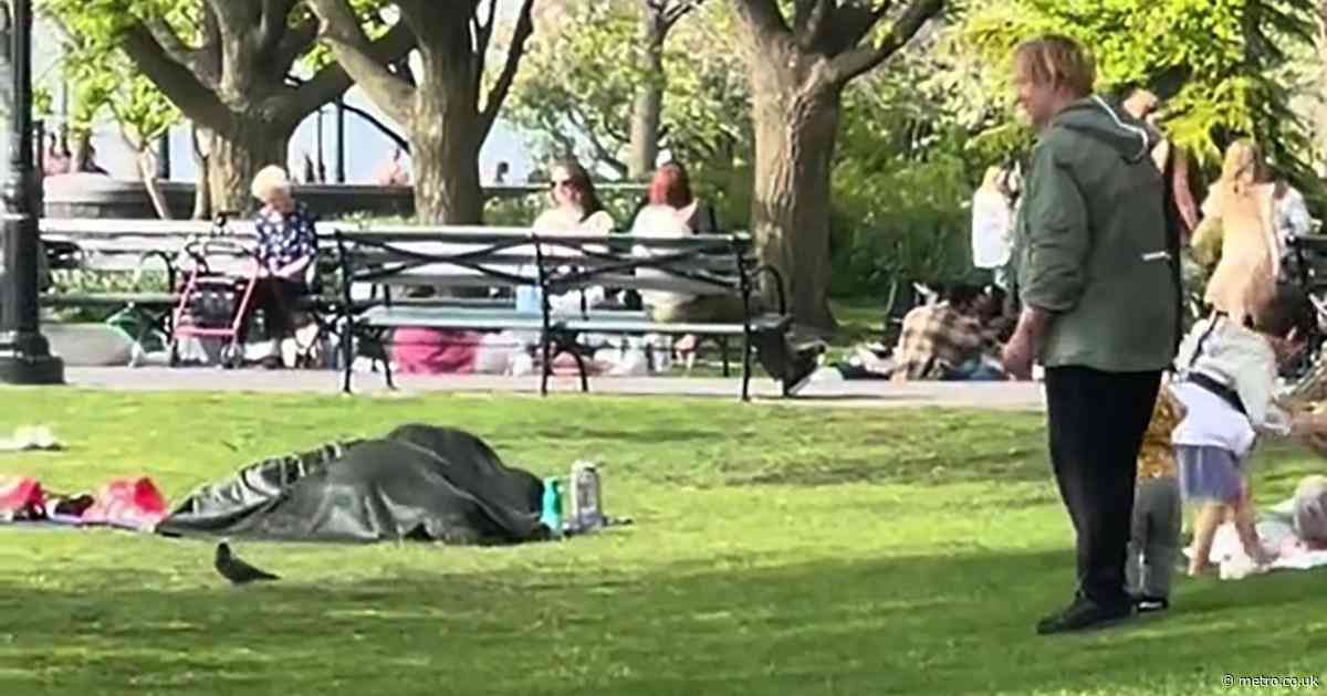 Couple caught ‘having sex’ under a blanket in busy park