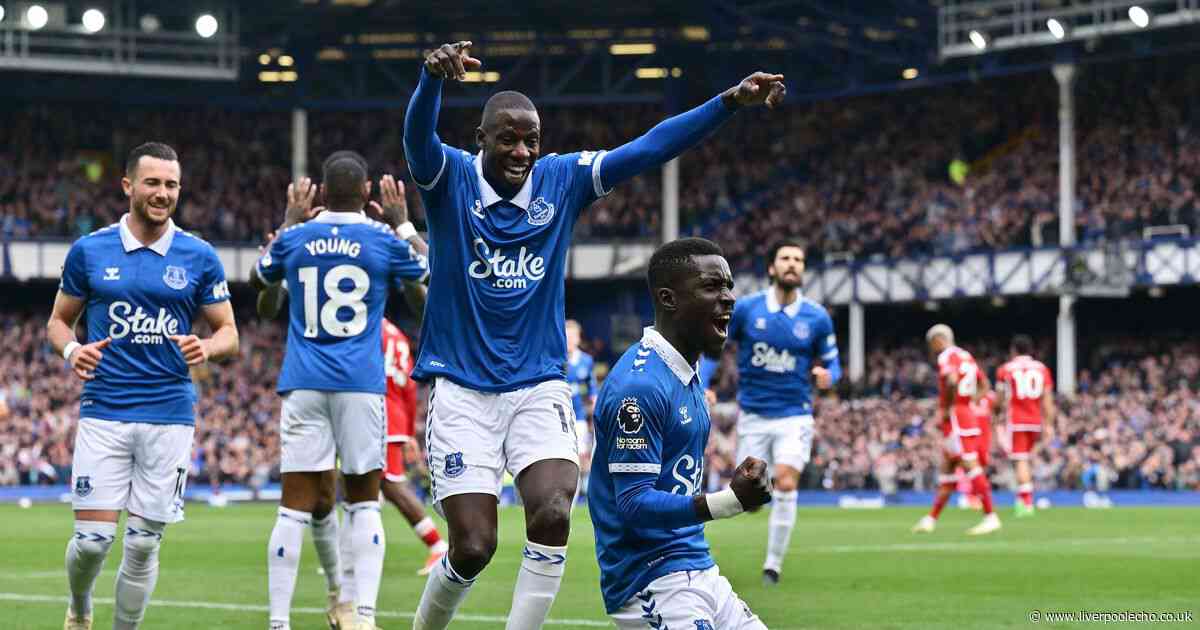 Everton's wage bill compared to Premier League rivals after relegation battle