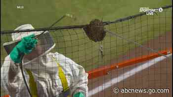 WATCH:  Bees delay Diamondbacks baseball game