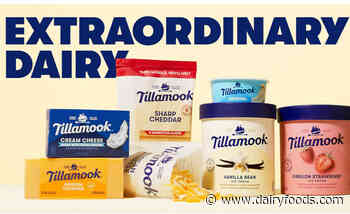 Tillamook introduces new ad campaign