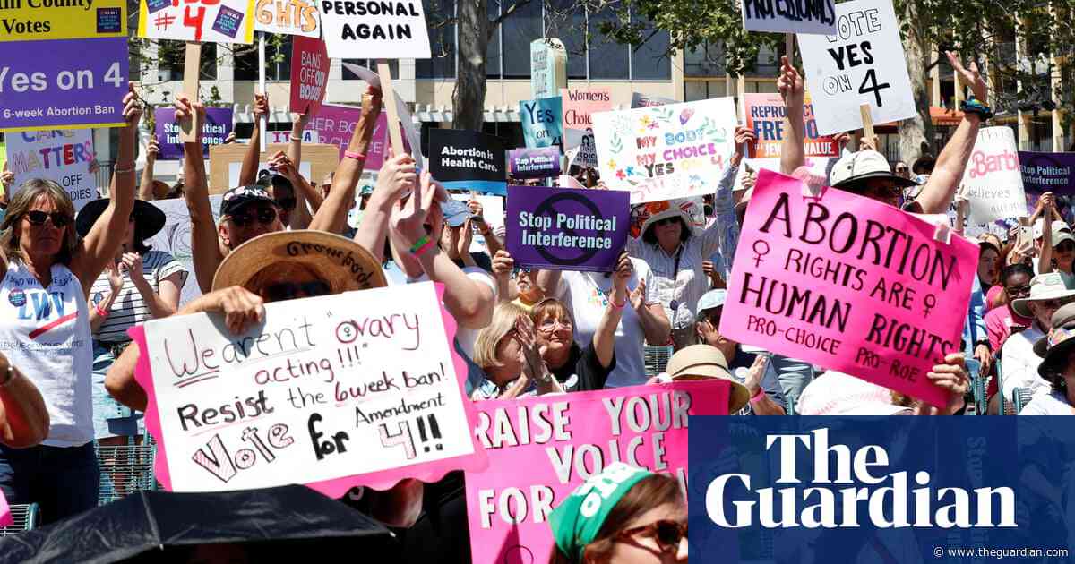 ‘Resist the state’: activists teach Floridians to ‘self-manage’ abortions in wake of ban