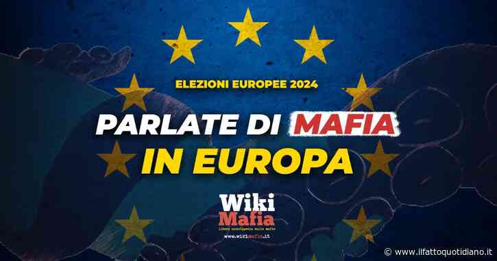 L’appello di Wikimafia per le elezioni europee: ‘Esportare in Ue le norme antimafia italiane’. E ai candidati: ‘Trasparenza sui contributi’