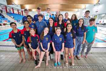 Watford and Bushey swimming clubs form new Herts League team