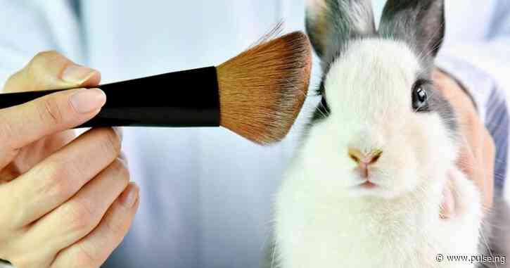Animals used in skincare products