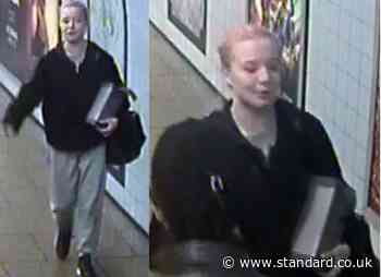 Police searching for woman after assault at Seven Sisters Underground station