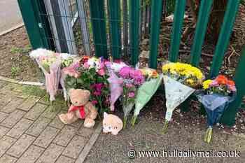 Permanent memorial may be built for five-year-old girl who tragically died in Hopewell Road crash