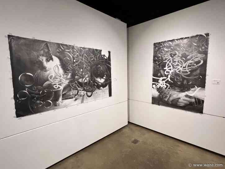 3 solo exhibitions opening at local art gallery