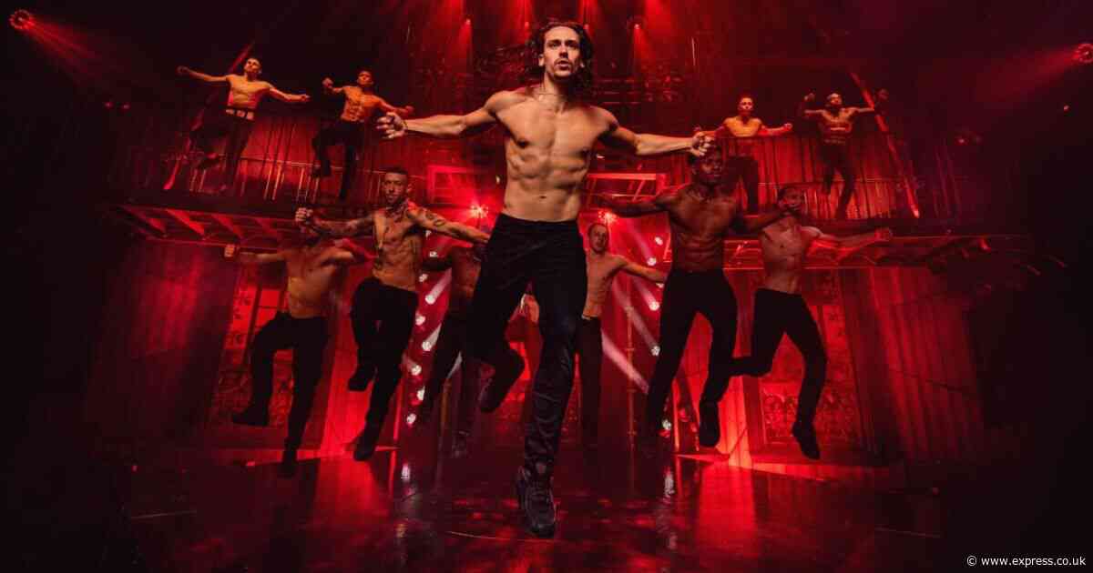 Harry Potter, Magic Mike and more West End shows receive huge Ticketmaster discounts