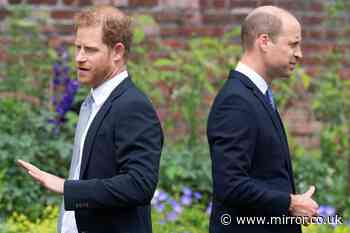 Prince Harry and William 'haven't had a real conversation in months' despite reunion hopes