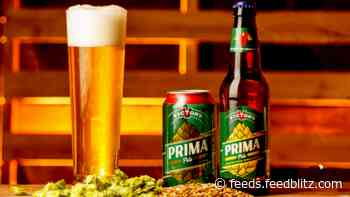 The 7 Best Widely Available Pilsners You Can Buy
