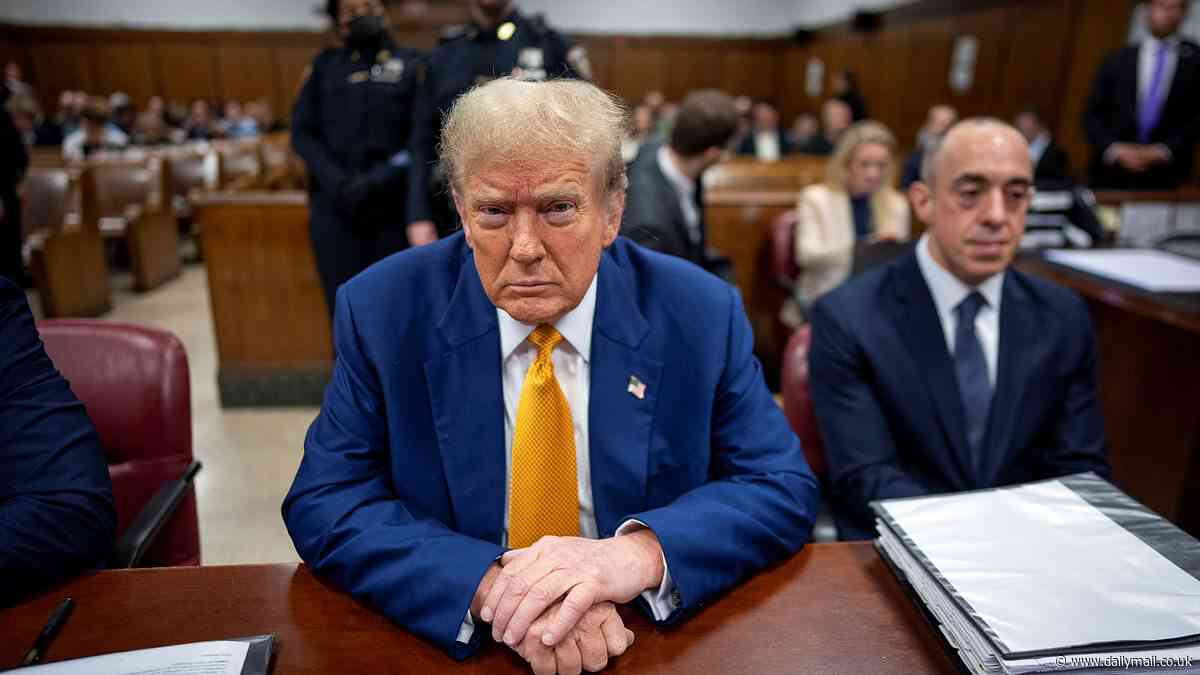 Trump shakes his head as frustrated judge says he doesn't have to speak to the press every day in tense gag order hearing on Michael Cohen and Biden's joke about 'stormy weather'