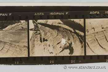 Original photographs of 1939 dig go on display at Sutton Hoo