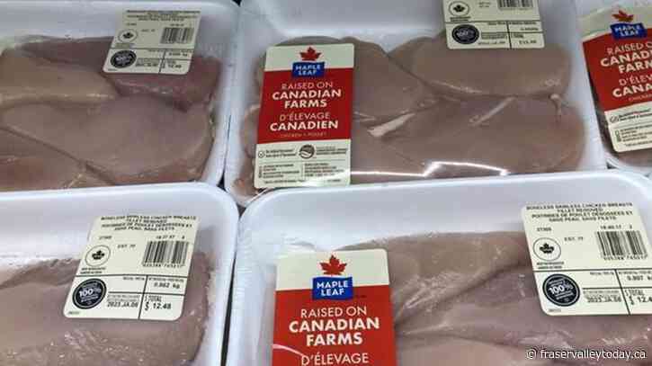 Maple Leaf Foods swings back to Q1 profit as pork markets show signs of improvement