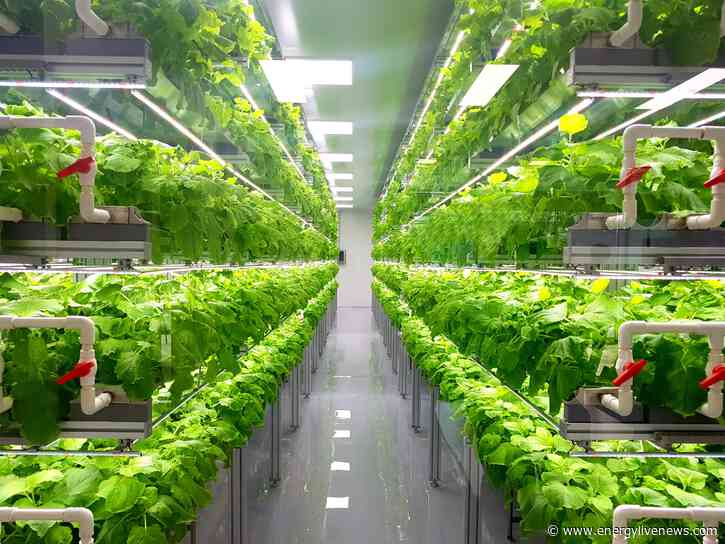 Vertical farms are the climate resilient solution for agriculture, says farming expert