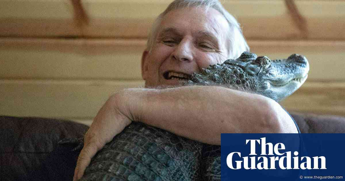 Wally the emotional support alligator is missing, US owner says