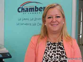 Sarnia-Lambton chamber gets local help with new strategic plan