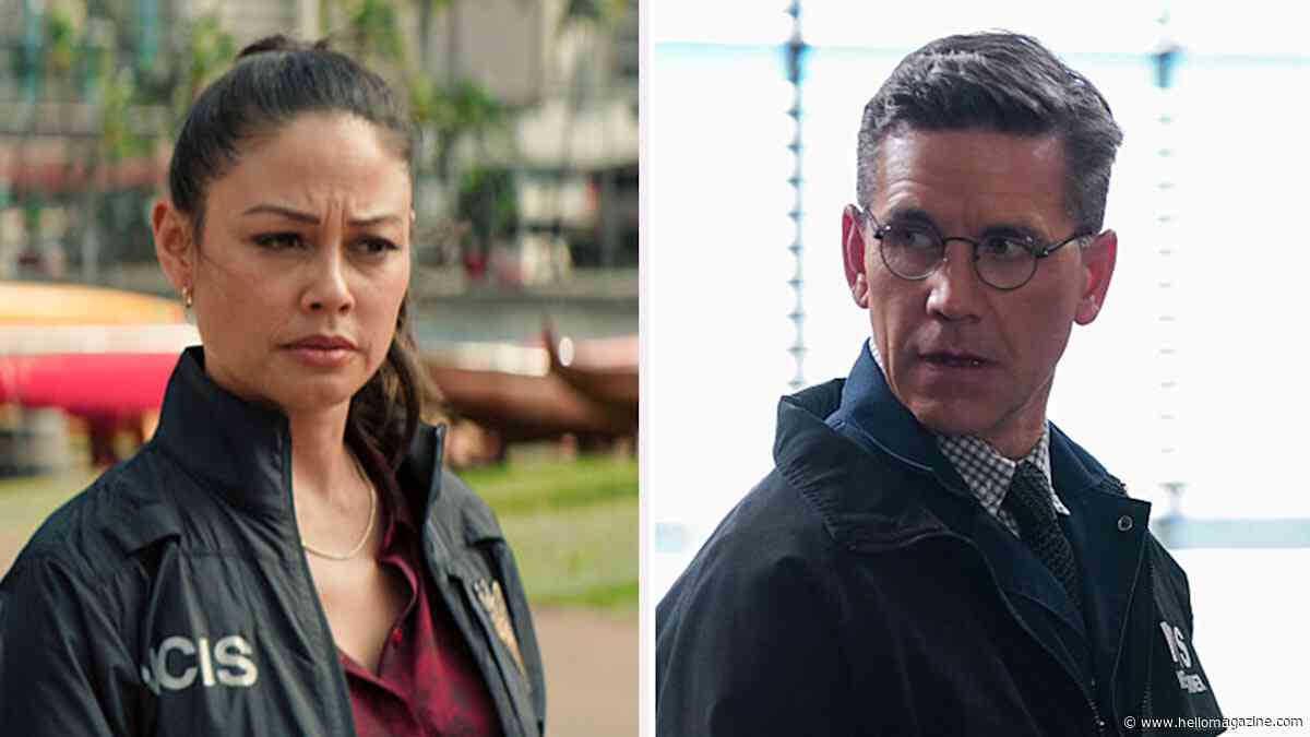 NCIS's Brian Dietzen supports Vanessa Lachey after NCIS: Hawai'i cancellation