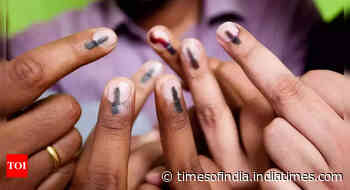 Chhattisgarh's Raigarh Lok Sabha Election 2024: Date of voting, result, candidates, main parties, schedule