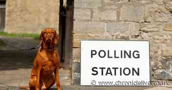 Photos of dogs at polling stations across the North East during the 2024 local elections