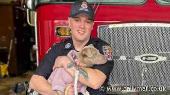 New York firefighter adopts three-legged puppy he helped save after it was hit by a car